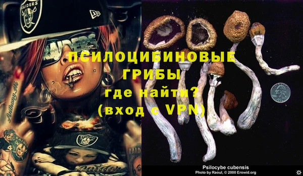 соль ск Аркадак